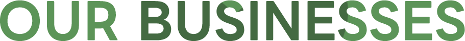 OUR BUSINESSES