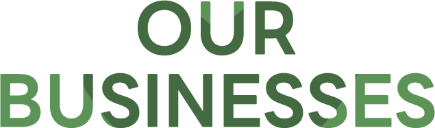 OUR BUSINESSES